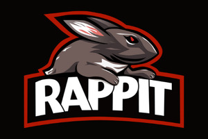 CEOは15歳・中学3年生―現役中学生率いるプロゲーミング/eスポーツチーム「RAPPIT」運営の合同会社Rappit Entertainment設立 画像