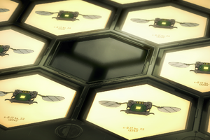 新オペ「GRIM」はハチで敵を追跡するベテラン兵士ー『レインボーシックス シージ』Y7S3「Brutal Swarm」発表 画像