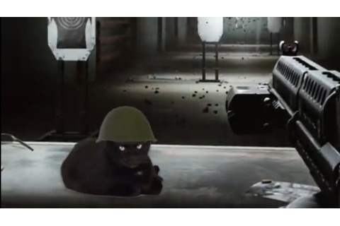 『Escape from Tarkov』公式が投稿した謎の黒ネコ動画にユーザー困惑！？海外ファンも「本当に実装して欲しい」 画像